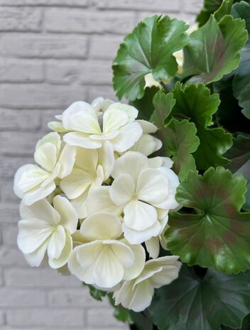 Geranium bulb artificial plant 50cm UV cream-white Geranium bulb artificial plant 50cm UV cream-white