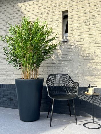 Hoge kunst Bamboe plant 120 cm UV