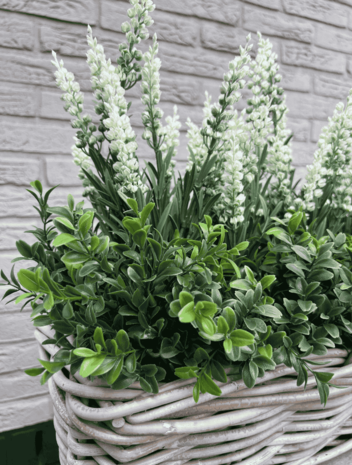 Rattan artificial planter with lavender 30cm and boxwood Rattan artificial planter with lavender 30cm and boxwood