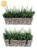 Rotan Hangmand incl UV Kunst Lavendel 30cm en Buxus