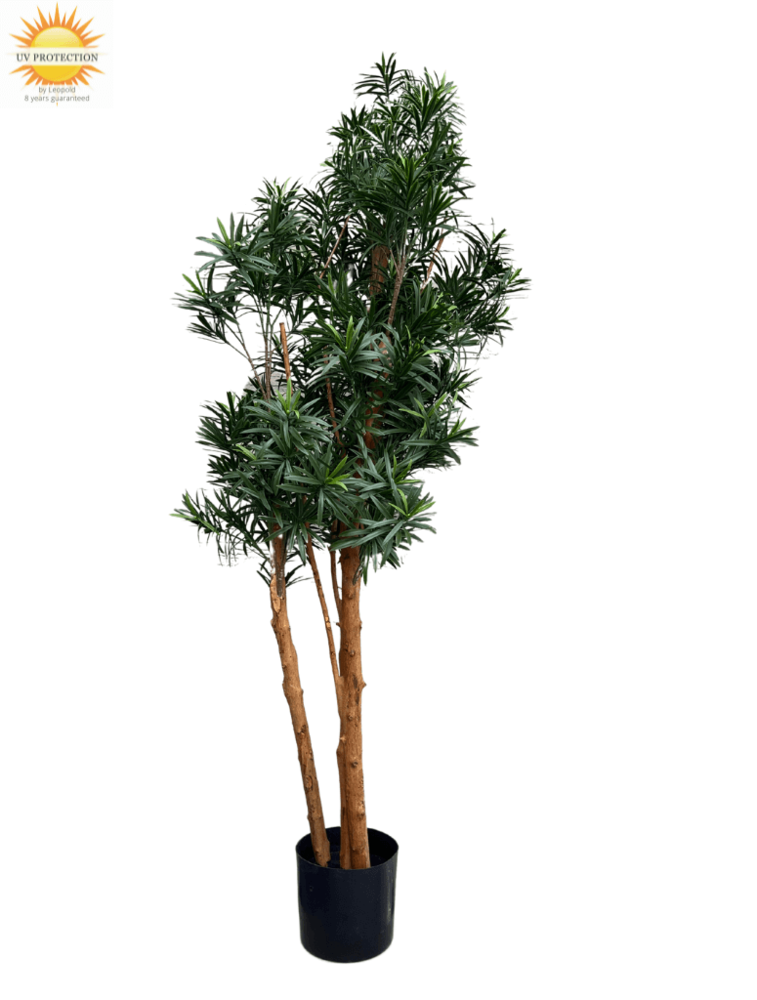 Artificial Podocarpus Tree 150cm UV Artificial Podocarpus Tree 150cm UV