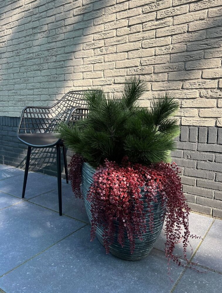 Kunststruik Pinus Den 60 cm UV  voor buiten Kunststruik Pinus Den 60 cm UV  voor buiten