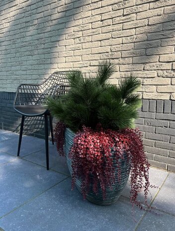 Kunststruik Pinus Den 60 cm UV  voor buiten Kunststruik Pinus Den 60 cm UV  voor buiten