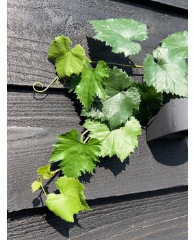 Artificial grape vine garland 110cm UV Artificial grape vine garland 110cm UV