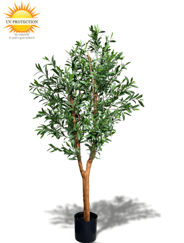 Olive imitation tree with 150cm with hardwood trunk Olive imitation tree with 150cm with hardwood trunk