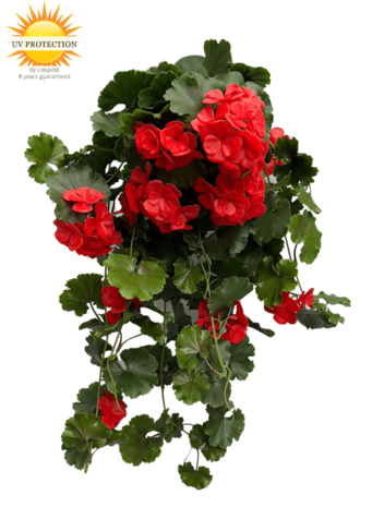 Buiten Kunst Hanggeranium 65cm UV rood