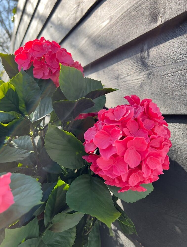 Buiten Kunst Hortensia roze XL 80cm UV Buiten Kunst Hortensia roze XL 80cm UV
