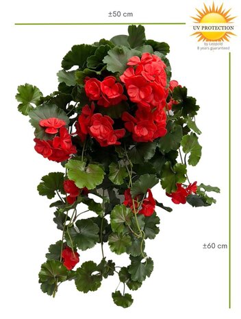 Buiten Kunst Hanggeranium 65cm UV rood