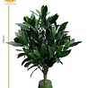 Buiten Laurier kunstplant 50cm UV Buiten Laurier kunstplant 50cm UV