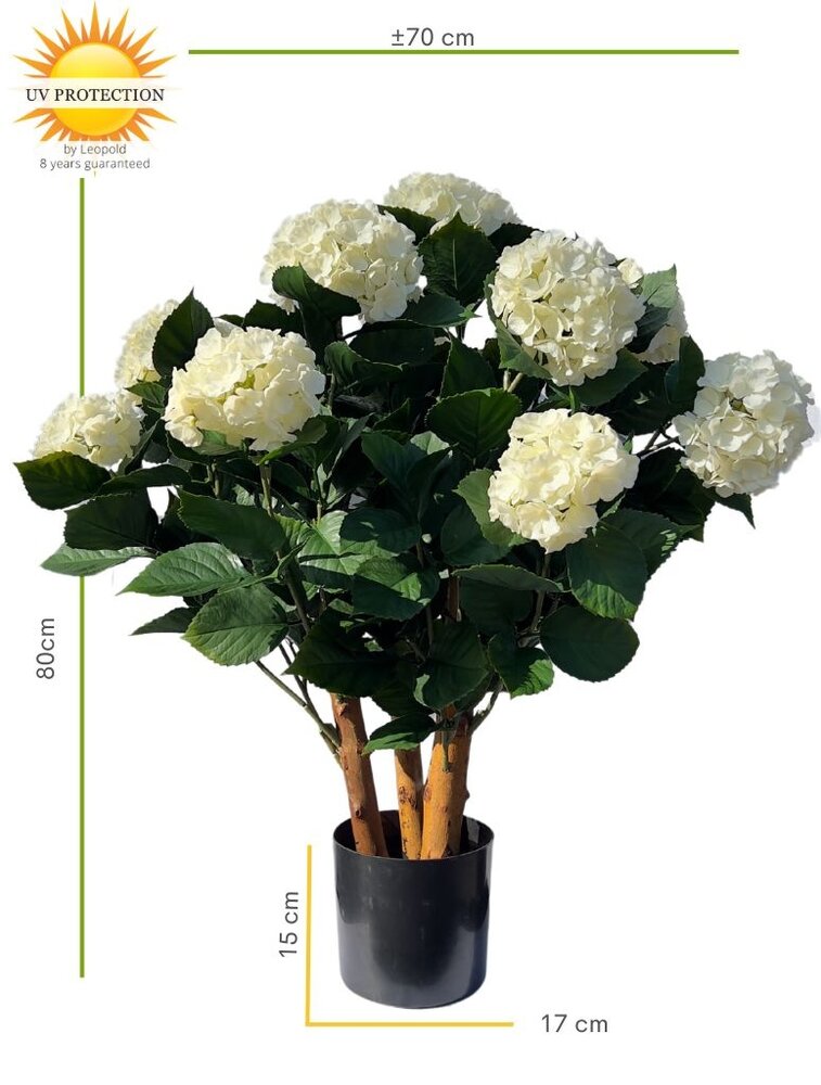 Buiten Kunst Hortensia wit XL 80cm UV