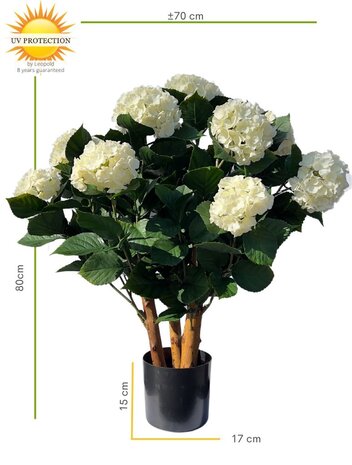 Buiten Kunst Hortensia wit XL 80cm UV