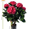 Outdoor artificial hydrangea pink 65cm UV-protected Outdoor artificial hydrangea pink 65cm UV-protected