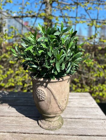 Kunst Olijfboompje 40cm UV op ministam voor Buiten