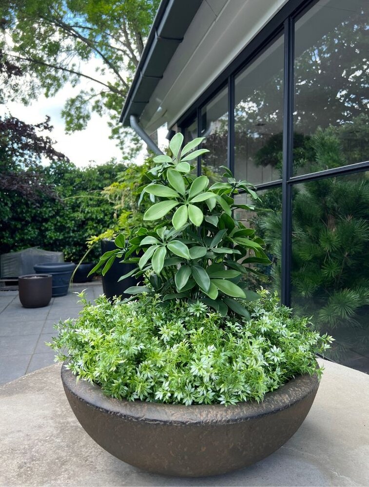 Eucalyptus artificial plant with UV protection.