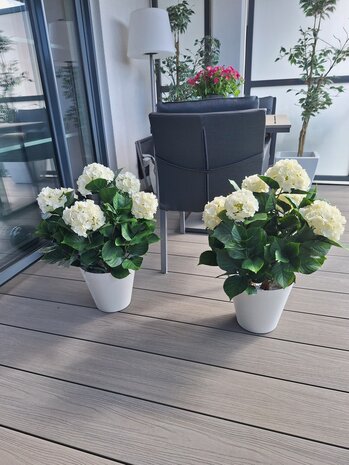 Buiten Kunst Hortensia wit 65cm UV-bestendig
