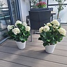 Buiten Kunst Hortensia wit 65cm UV-bestendig Buiten Kunst Hortensia wit 65cm UV-bestendig
