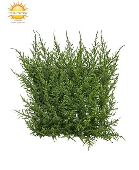 Conifeer mat 25x25 cm UV Conifeer mat 25x25 cm UV
