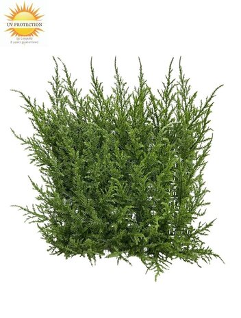 Luxe kunst  conifeer mat  x77 tips voor muur bekleding  met UV protectie