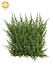 Artificial Conifer mat x77 UV Artificial Conifer mat x77 UV