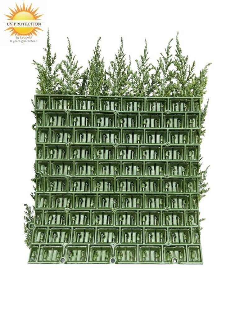 Luxury outdoor artificial Conifer mat  x77 tips for wall covering UV protected