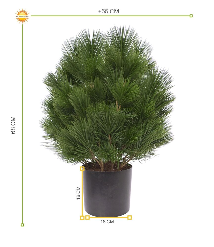 Kunststruik Pinus Den 60 cm UV  voor buiten Kunststruik Pinus Den 60 cm UV  voor buiten