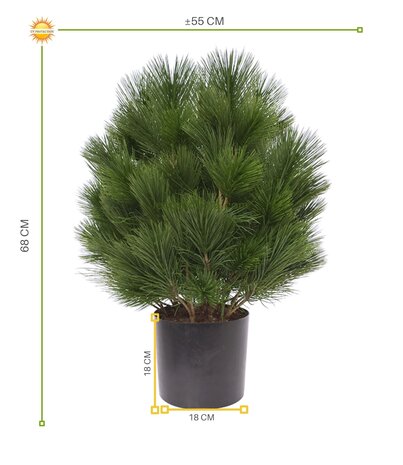 Artificial outdoor Pine bush 60 cm UV protected
