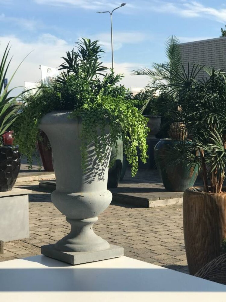 Outdoor Artificial Dischidia Nummularia hanging plant 40 cm UV