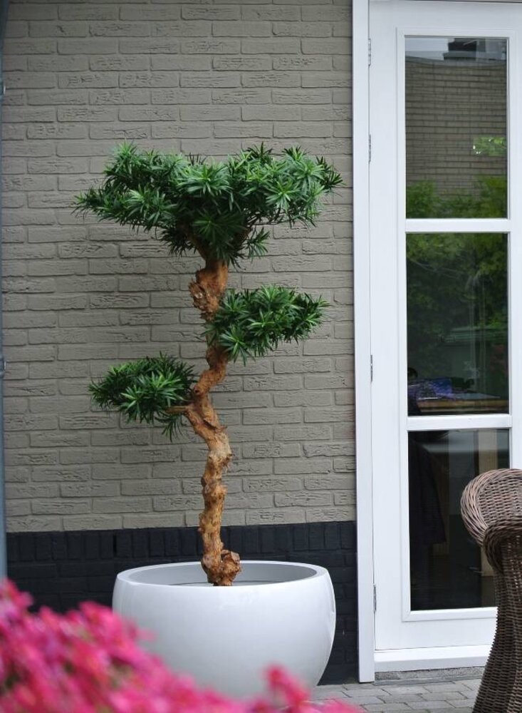 Mooie Kunstboom Podocarpus Bonsai 160 cm uv