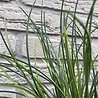 Artificial outdoor grass plant bouquet 40 cm UV Artificial outdoor grass plant bouquet 40 cm UV