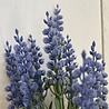 Rotan Hangmand incl UV Kunst Lavendel 30cm en Buxus Rotan Hangmand incl UV Kunst Lavendel 30cm en Buxus