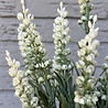 Rattan artificial planter with lavender 30cm and boxwood Rattan artificial planter with lavender 30cm and boxwood