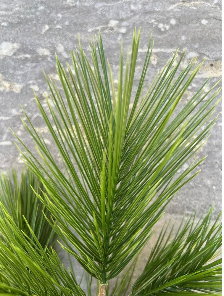 UV protected artificial Pine branch 65 cm for outside