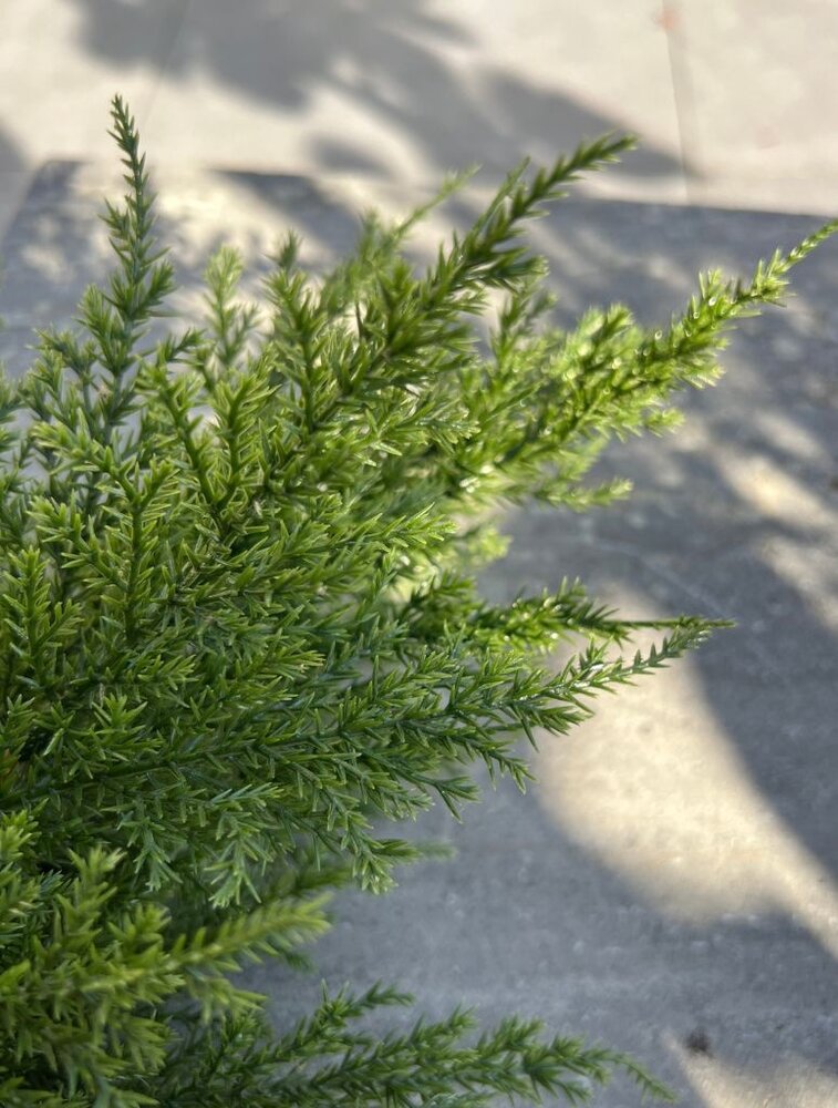 Outdoor artificial Conifer branch 45 cm with UV protection