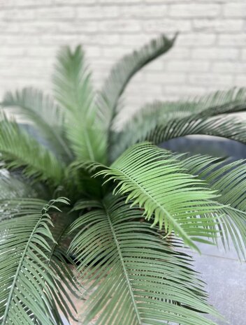 Outdoor Artificial Cycas Palm 80 cm UV protected Outdoor Artificial Cycas Palm 80 cm UV protected