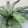 Outdoor Artificial Cycas Palm 80 cm UV protected Outdoor Artificial Cycas Palm 80 cm UV protected