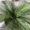 Artificial outdoor Cycas Palm 60 cm UV protected Artificial outdoor Cycas Palm 60 cm UV protected
