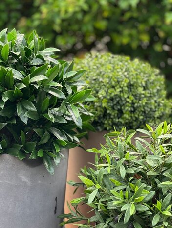 Artificial outdoor Laurel ball 55 cm UV Artificial outdoor Laurel ball 55 cm UV