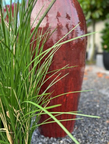 Artificial Ornamental Grass Plant 80cm UV in Pot