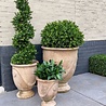 Outdoor Artificial Buxus Spiral tree 100 cm UV protected Outdoor Artificial Buxus Spiral tree 100 cm UV protected