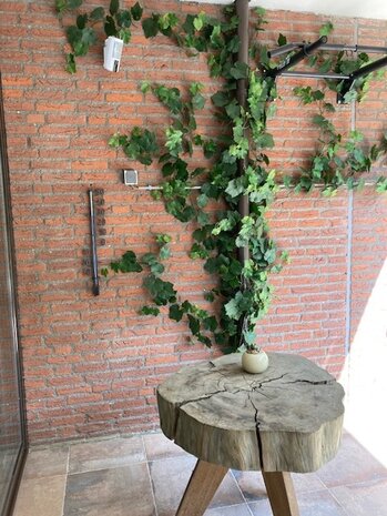 Druif kunst Guirlande 110cm UV Druif kunst Guirlande 110cm UV