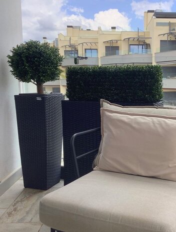 UV Kunst buxus heg 35x80cm UV Kunst buxus heg 35x80cm