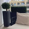 UV Kunst buxus heg 35x80cm UV Kunst buxus heg 35x80cm