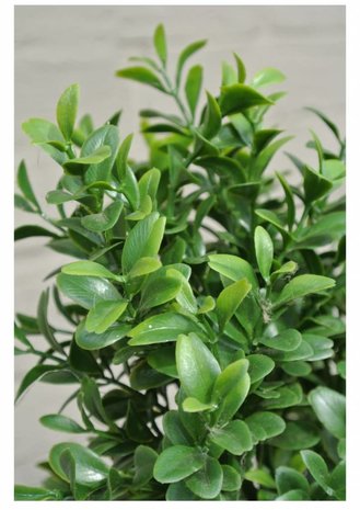 Kunst Buxus Pyramide 140 cm voor buiten met uv protectie Kunst Buxus Pyramide 140 cm voor buiten met uv protectie