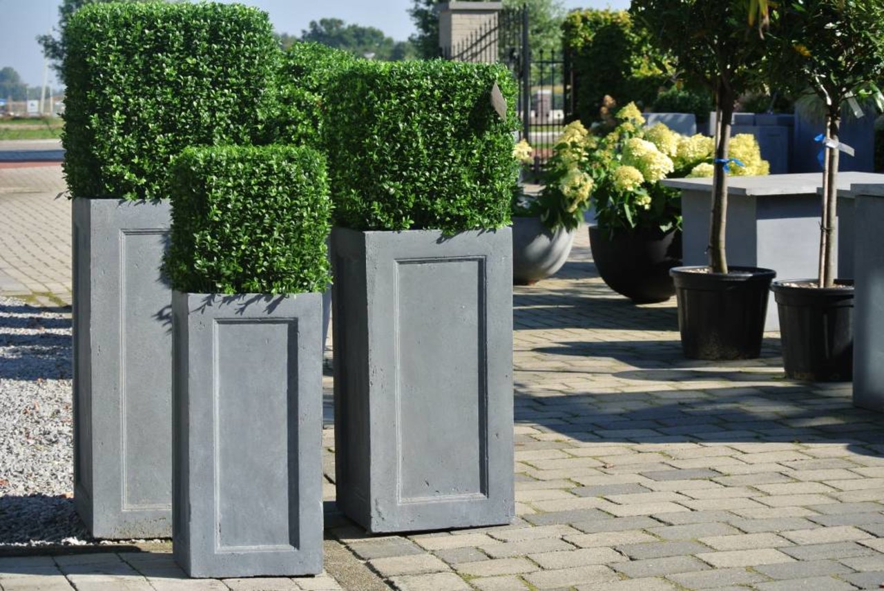Kunst buxus voor buiten vierkant 40 cm Kunst buxus voor buiten vierkant 40 cm