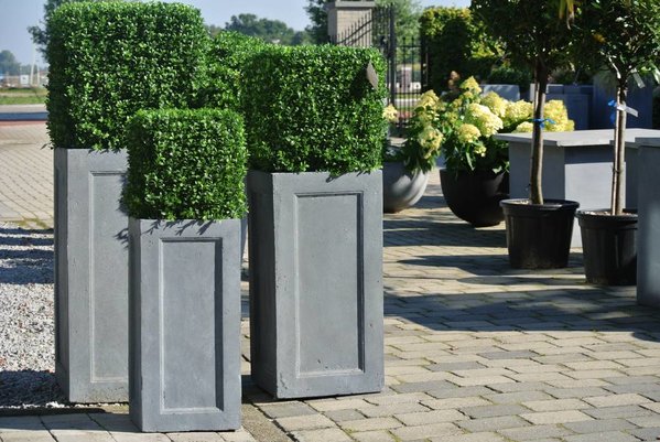 Kunst buxus voor buiten vierkant 40 cm Kunst buxus voor buiten vierkant 40 cm