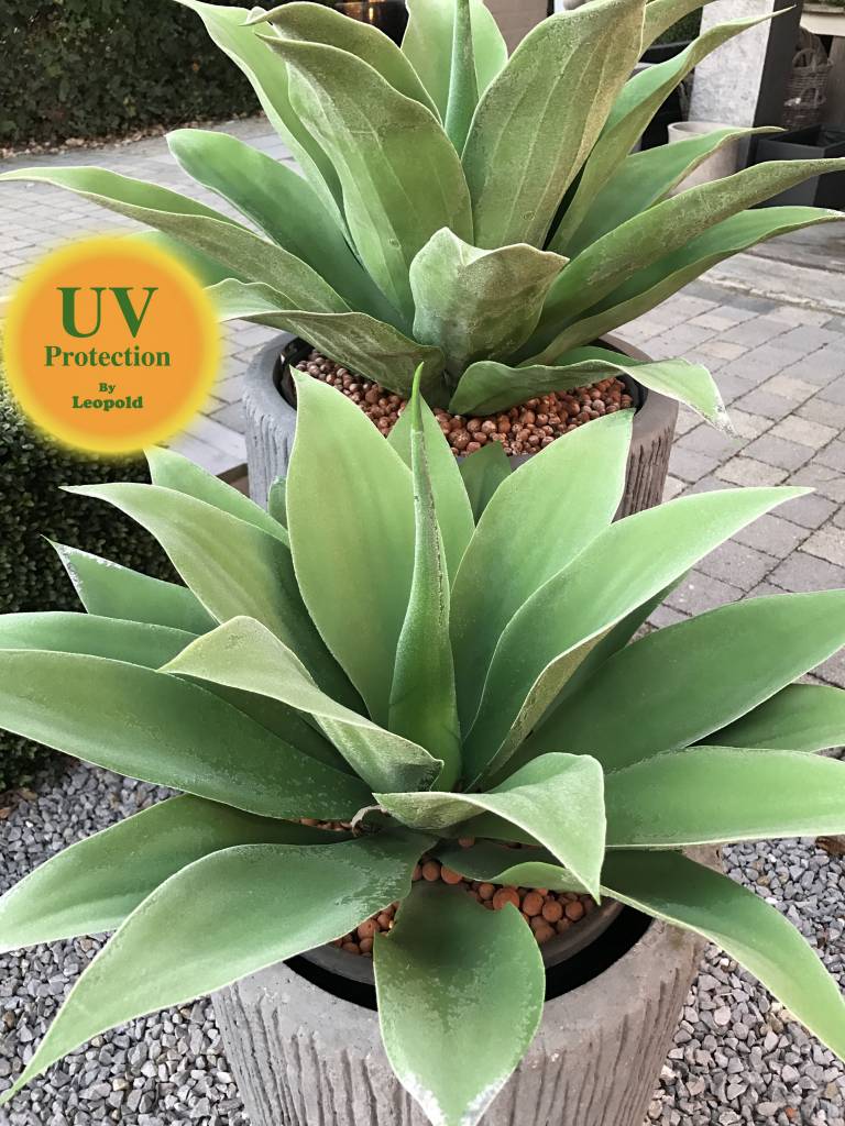 Large artificial Agave plant with unique LeopoldFlora UV protection
