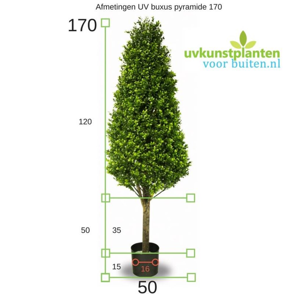 Hoge Kunst Buxus Pyramide 170 cm UV Hoge Kunst Buxus Pyramide 170 cm UV