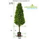Hoge Kunst Buxus Pyramide 170 cm UV Hoge Kunst Buxus Pyramide 170 cm UV