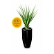 Kunststof Design Plant Pandanus Ananas 90 cm UV Kunststof Design Plant Pandanus Ananas 90 cm UV