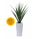 Outdoor Artificial Screwpine plant 140 cm UV protected Outdoor Artificial Screwpine plant 140 cm UV protected